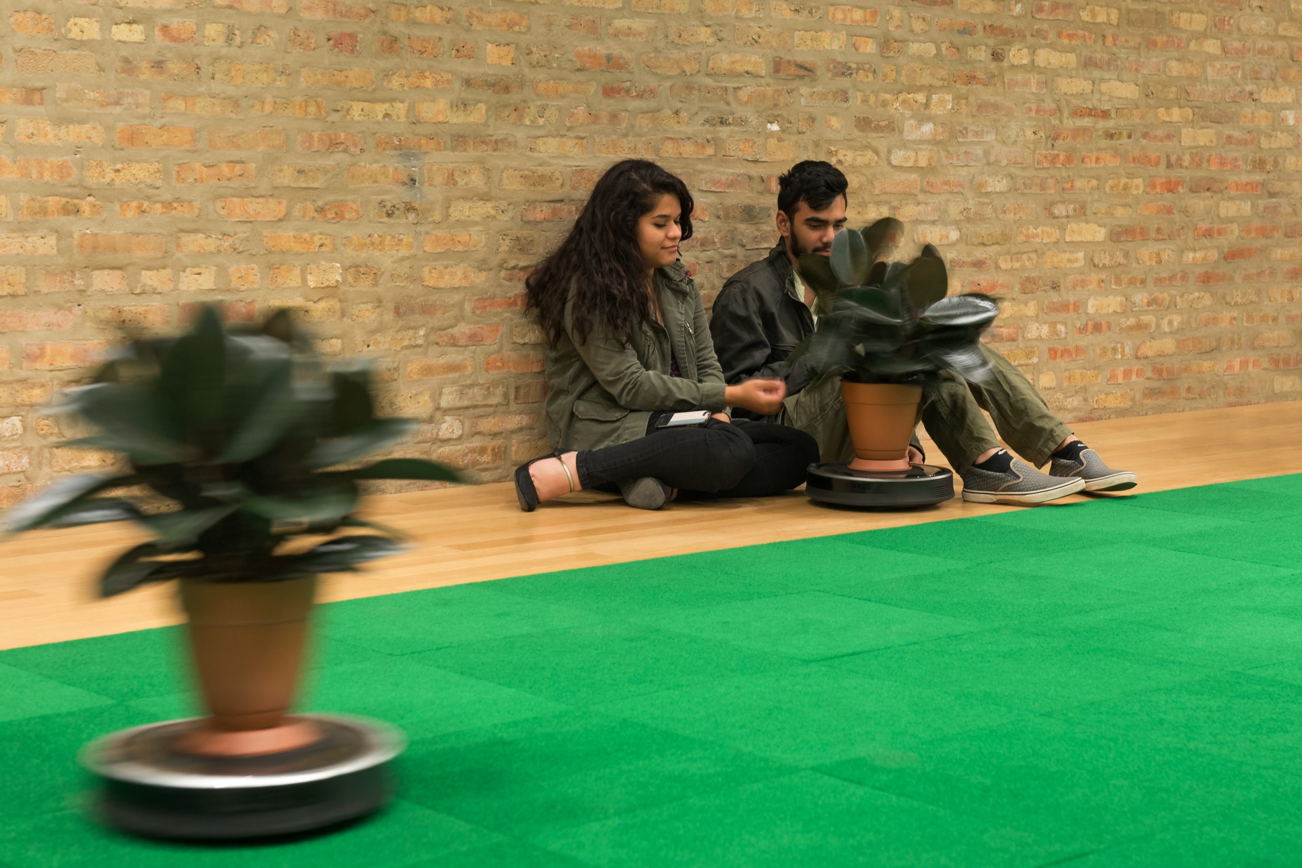 Two moving roombas with a rubber tree on top and two viewers sitting and interacting with one of the roombas